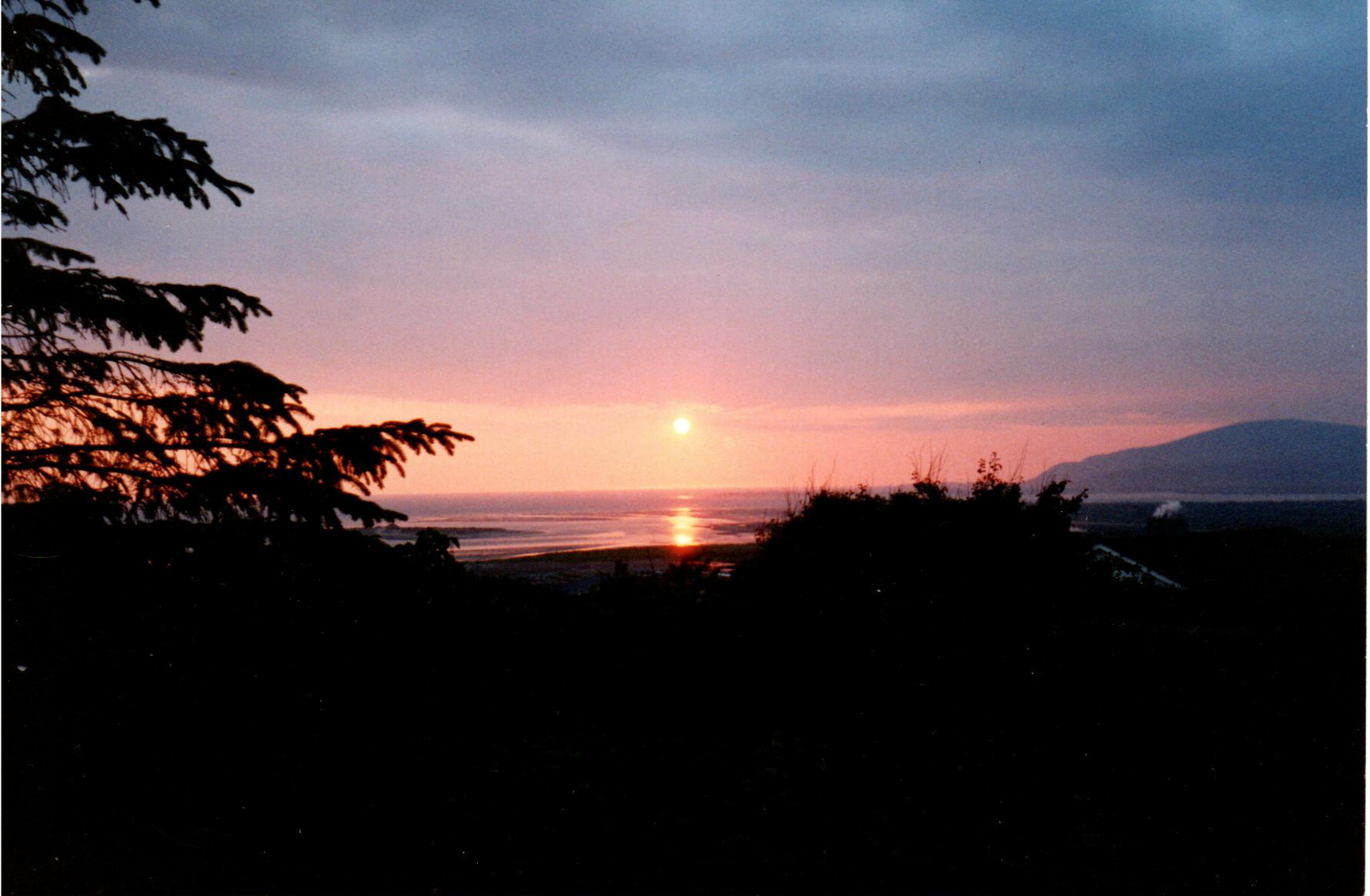 Sunlight in the Elizabeth Roberts Working-Class Oral History Archive: Sue Bradley- Sue Bradley